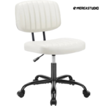 Emereastudio Armless Office Desk Chair with Back Lumbar Support